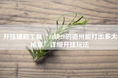 开挂辅助工具“10块20的德州能打出多大输赢”详细开挂玩法