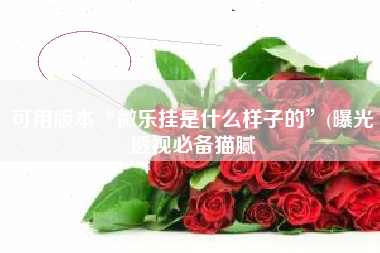 可用版本“微乐挂是什么样子的	”(曝光透视必备猫腻
