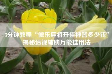 3分钟教程“微乐麻将开挂神器多少钱”揭秘透视辅助万能挂用法