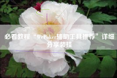 必看教程“WePoker辅助工具推荐”详细分享装挂