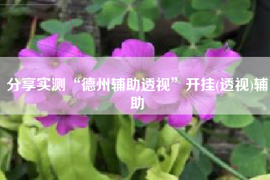 分享实测“德州辅助透视”开挂(透视)辅助 分享实测“德州辅助透视”开挂(透视)辅助