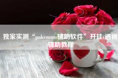 独家实测“pokemmo辅助软件”开挂(透视)辅助教程