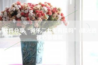 软件分享“微乐二七王有挂吗”(曝光透视必备猫腻