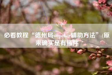 必看教程“德州局wepoker辅助方法”(原来确实是有插件