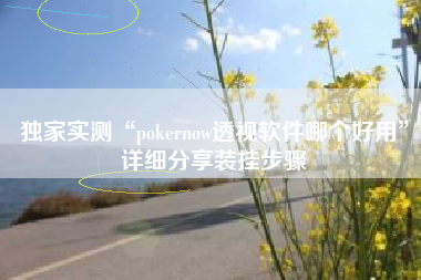 独家实测“pokernow透视软件哪个好用	”详细分享装挂步骤