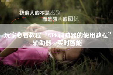 玩家必看教程“WPK辅助器的使用教程”辅助器 - 实时智能