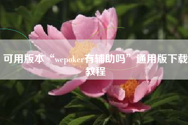 可用版本“wepoker有辅助吗”通用版下载教程