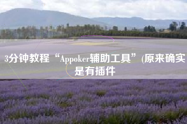 3分钟教程“Appoker辅助工具”(原来确实是有插件