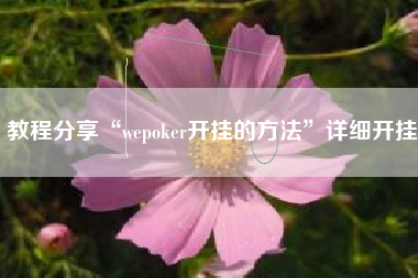 教程分享“wepoker开挂的方法	”详细开挂