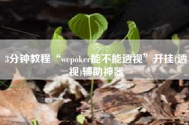 3分钟教程“wepoker能不能透视”开挂(透视)辅助神器