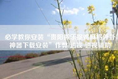 必学教你安装“贵阳微乐捉鸡麻将外卦神器下载安装”作弊(透视)透视辅助