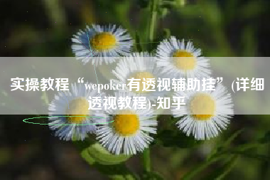 实操教程“wepoker有透视辅助挂”(详细透视教程)-知乎
