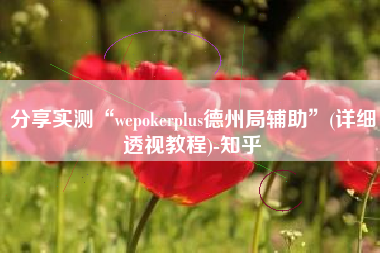 分享实测“wepokerplus德州局辅助”(详细透视教程)-知乎