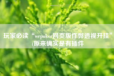 玩家必读“wepoker网页版作弊透视开挂	”(原来确实是有插件