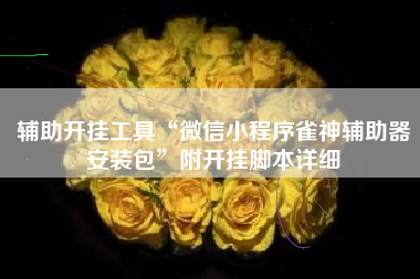 辅助开挂工具“微信小程序雀神辅助器安装包”附开挂脚本详细