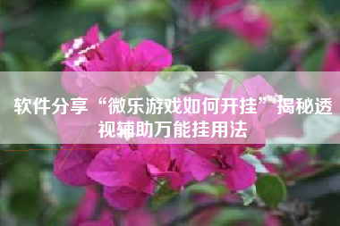 软件分享“微乐游戏如何开挂	”揭秘透视辅助万能挂用法