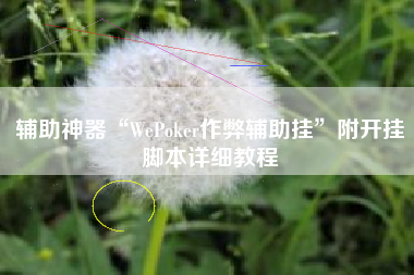 辅助神器“WePoker作弊辅助挂”附开挂脚本详细教程