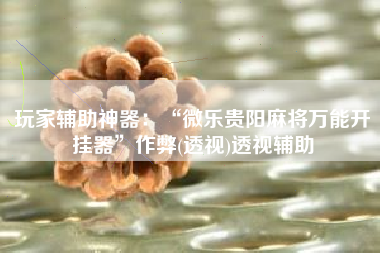 玩家辅助神器：“微乐贵阳麻将万能开挂器”作弊(透视)透视辅助