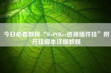 今日必看教程“WePOKer透视插件挂”附开挂脚本详细教程