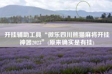 开挂辅助工具“微乐四川熊猫麻将开挂神器2023	”(原来确实是有挂)