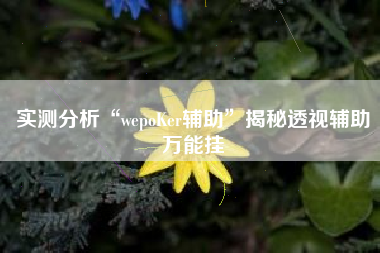 实测分析“wepoKer辅助”揭秘透视辅助万能挂