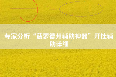 专家分析“菠萝德州辅助神器”开挂辅助详细
