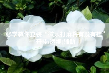 必学教你安装“微乐打麻将有没有挂”开挂(透视)辅助