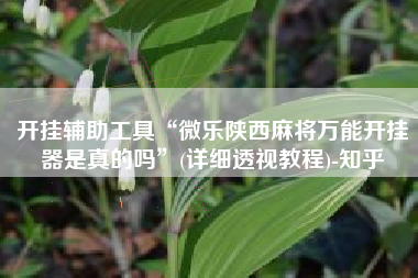 开挂辅助工具“微乐陕西麻将万能开挂器是真的吗	”(详细透视教程)-知乎