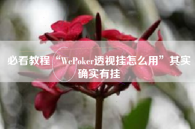 必看教程“WePoker透视挂怎么用”其实确实有挂