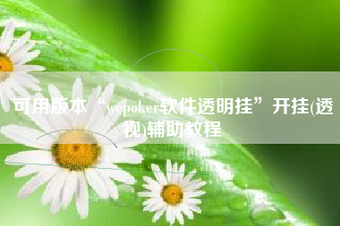 可用版本“wepoker软件透明挂”开挂(透视)辅助教程