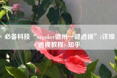 必备科技“wepoker德州一键透视	”(详细透视教程)-知乎