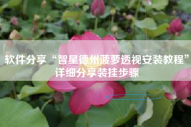 软件分享“智星德州菠萝透视安装教程	”详细分享装挂步骤