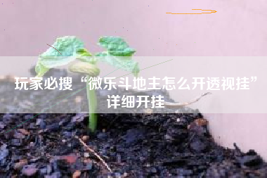玩家必搜“微乐斗地主怎么开透视挂	”详细开挂