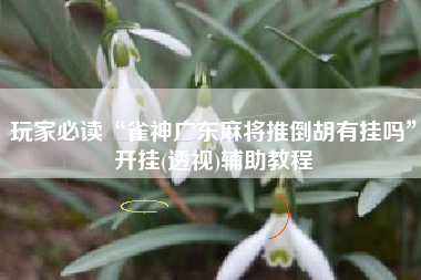 玩家必读“雀神广东麻将推倒胡有挂吗	”开挂(透视)辅助教程