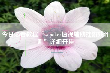 今日必看教程“wepoker透视辅助挂游戏评测”详细开挂