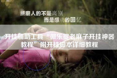 开挂辅助工具“微乐捉老麻子开挂神器教程”附开挂脚本详细教程