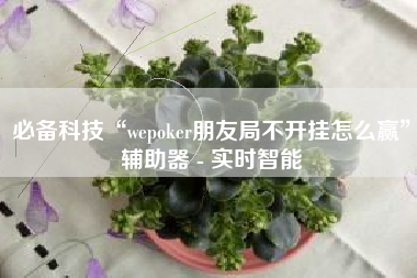 必备科技“wepoker朋友局不开挂怎么赢”辅助器 - 实时智能