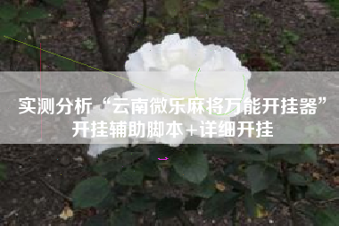 实测分析“云南微乐麻将万能开挂器”开挂辅助脚本+详细开挂