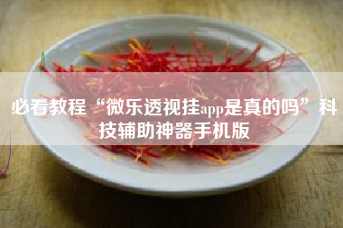 必看教程“微乐透视挂app是真的吗”科技辅助神器手机版