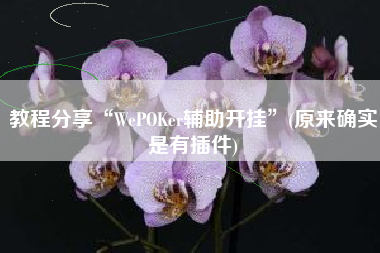 教程分享“WePOKer辅助开挂	”(原来确实是有插件)