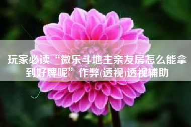 玩家必读“微乐斗地主亲友房怎么能拿到好牌呢”作弊(透视)透视辅助