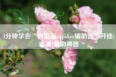 3分钟学会“网页版wepoker辅助器	”开挂(透视)辅助神器