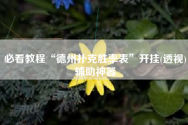 必看教程“德州扑克胜率表”开挂(透视)辅助神器