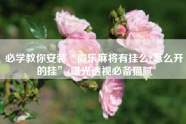 必学教你安装“微乐麻将有挂么?怎么开的挂”(曝光透视必备猫腻