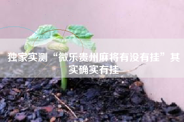 独家实测“微乐贵州麻将有没有挂	”其实确实有挂