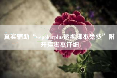 真实辅助“wepokerplus透视脚本免费”附开挂脚本详细