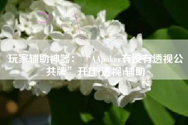 玩家辅助神器：“AApoker有没有透视公共牌	”开挂(透视)辅助