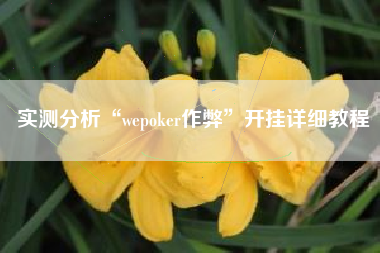 实测分析“wepoker作弊	”开挂详细教程