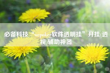 必备科技“wepoker软件透明挂”开挂(透视)辅助神器