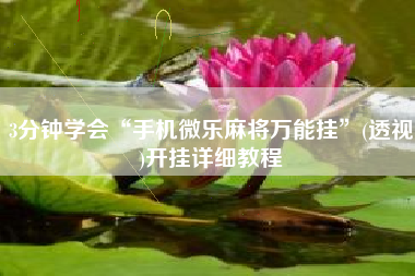 3分钟学会“手机微乐麻将万能挂”(透视)开挂详细教程